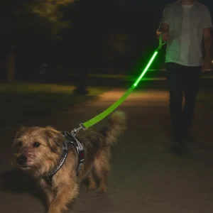 USB Rechargeable LED Dog Lead Leash Night Safety Light Up All Colours Waterproof