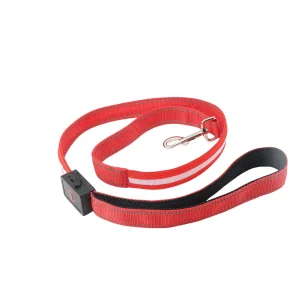 LED Dog Leash 4FT Nylon Safety Glow In The Dark Dog Leash USB Rechargeable L NEW