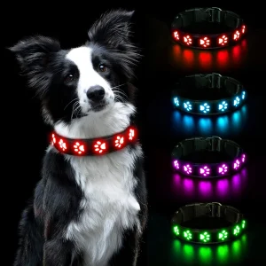 Light Up Dog Collar LED Dog Collar Light USB Rechargeable Waterproof Flashing