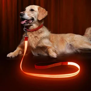 LED Dog Leash, Light up Dog Leash Micro USB Rechargeable, Nylon Webbing Glow Sa