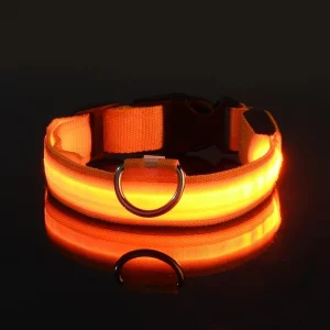LED Glow Dog Leash Nylon Luminous Flashing Night Safety Collar Pet Walking