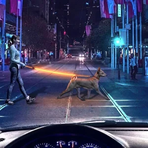 LED Light Up Dog Leash USB Rechargeable Glow Lead 47