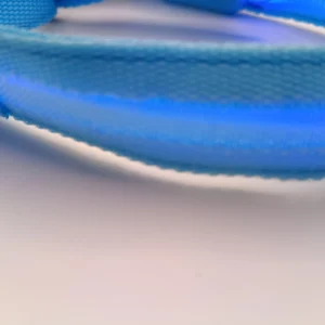 LED Light Up Pet Leash Outdoor Dogs Training Leash Small Medium Puppy Leash Cord