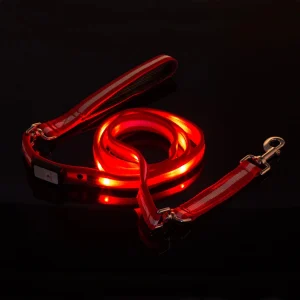 MASBRILL LED Lighted Up Dog Leash, USB Rechargeable Waterproof Dazzle-Star Flash