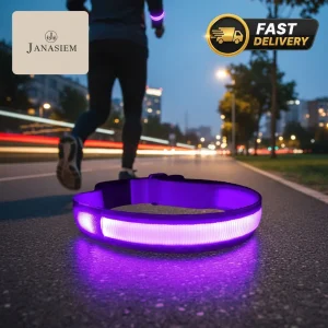 Light Up Dog Collar - USB Rechargeable, 3 Modes, for All Medium Breeds in Purple