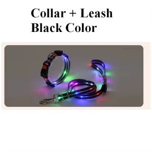 Pet Dog LED Light up Leash USB Rechargeable PVC with Webbing Glowing Pet Leash L