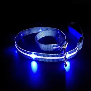 MASBRILL LED Lighted Up Dog Leash, USB Rechargeable Waterproof Dazzle-Star Flash